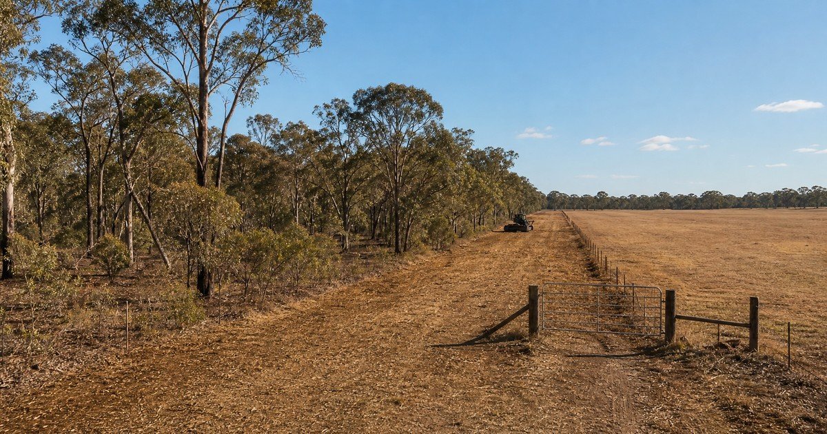 A broad maintained rural firebreak running between jarrah bushland and open paddock in Western Australia, with a boundary gate and a black tracked mulcher in the distance