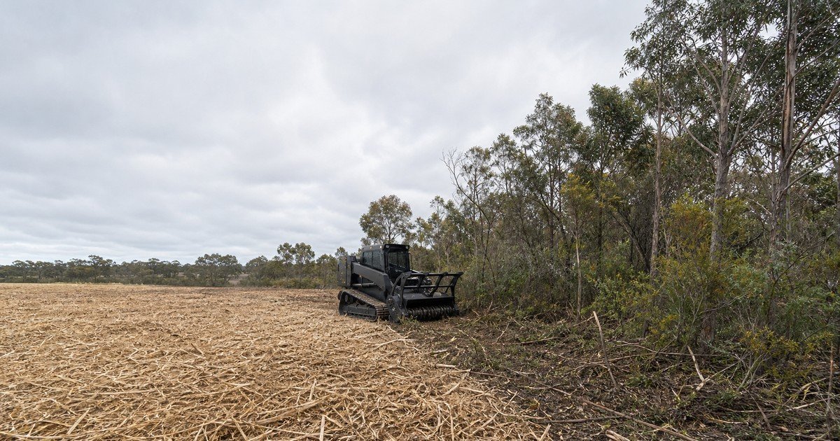 A rural Western Australian clearing site part-way through mulching, with fresh pale mulch on one side, standing scrub on the other, and a black tracked mulcher at the working edge